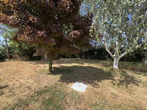 GARDEN- click for photo gallery